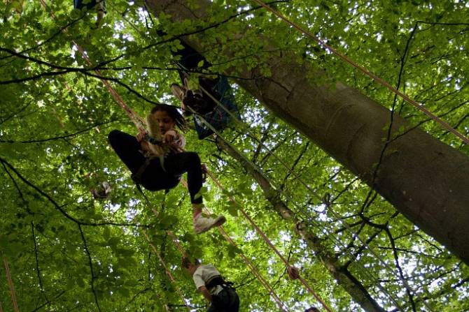 Nature Accrobranche arbre forêt