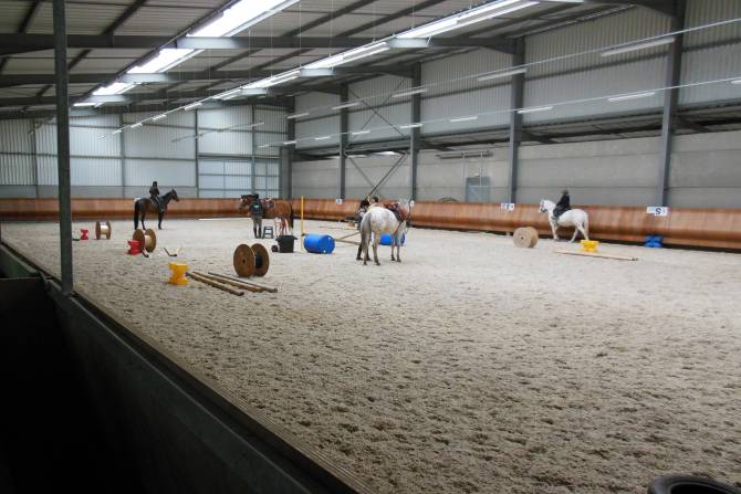 Reprise dans manège pour cavaliers débutants ou initiés