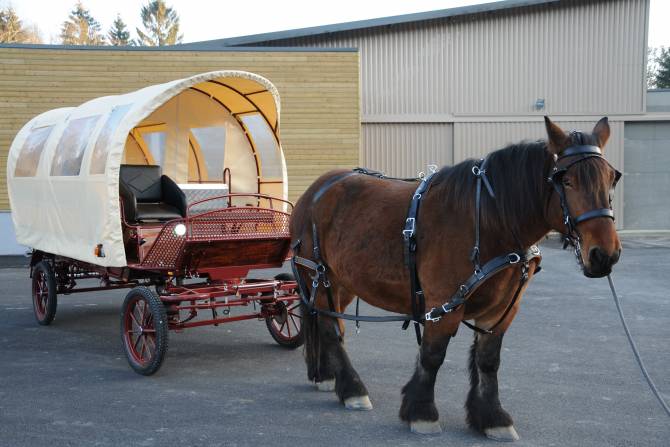 Calèche pour circuit découverte dans forêt ardennaise