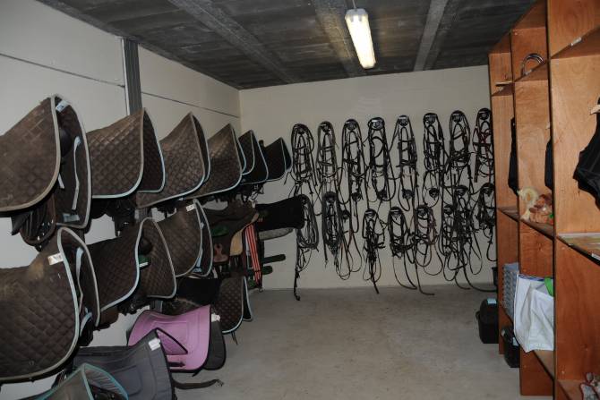 Sellerie équidés avec selle bombe et cravache