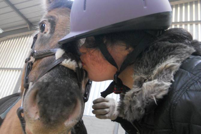 Manège Séance activité à intention thérapeutique