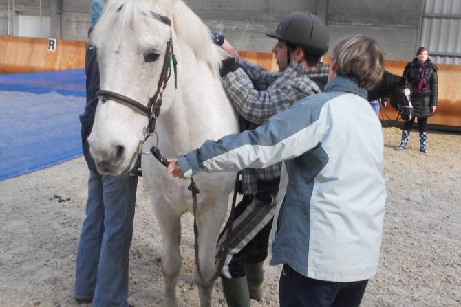 Manège avec activités pédagogiques